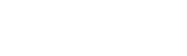 ArenaMobiles